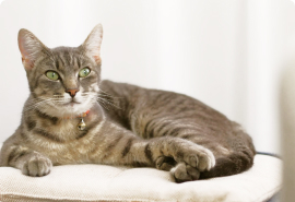 Эконом комната